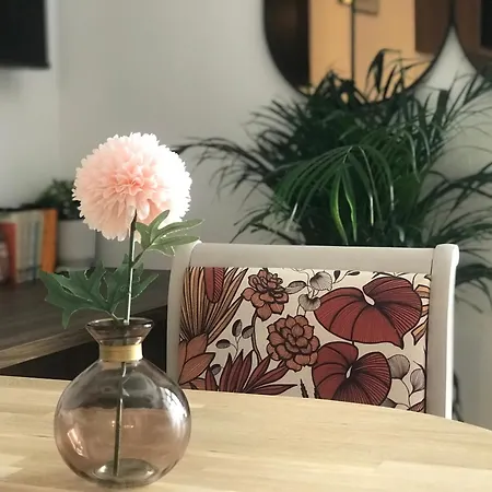 Guest house La Magnifique, Et Pop Et Chic !