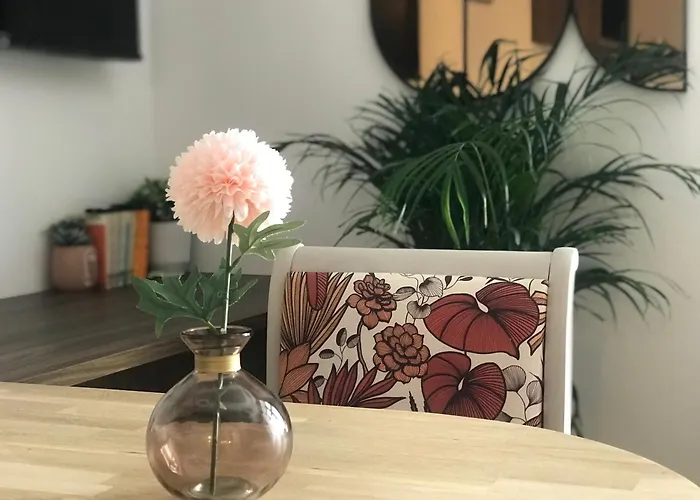 게스트하우스 La Magnifique, Et Pop Et Chic !